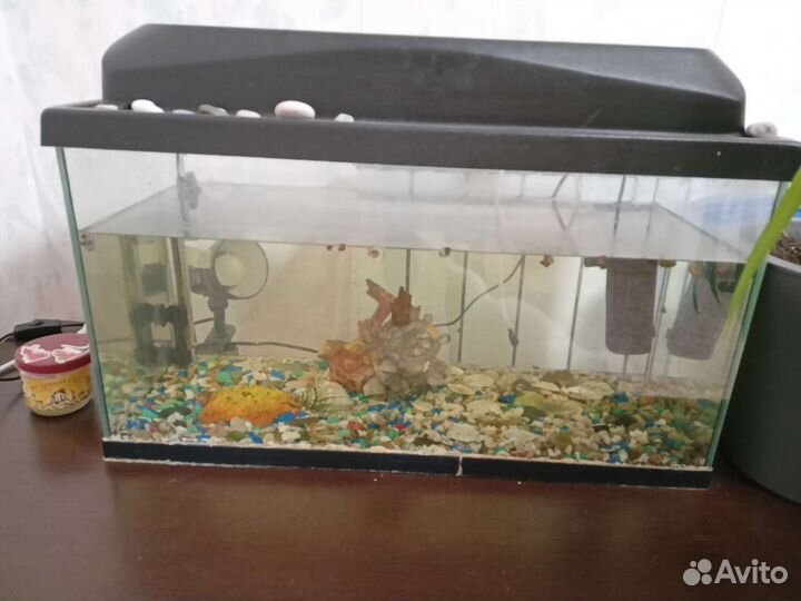 Аквариум 62 литра
