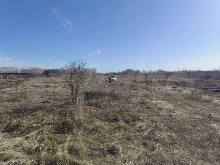 Участок 51 сот. (СНТ, ДНП)