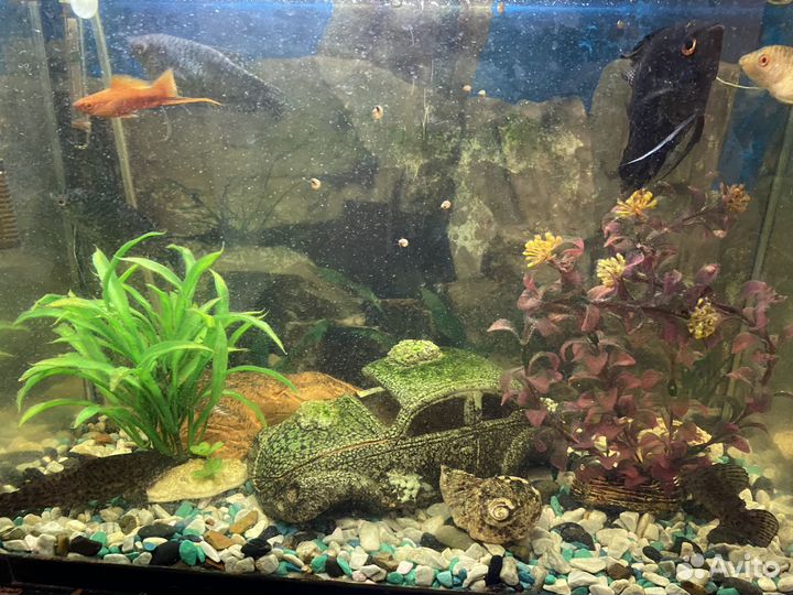 Продам аквариум