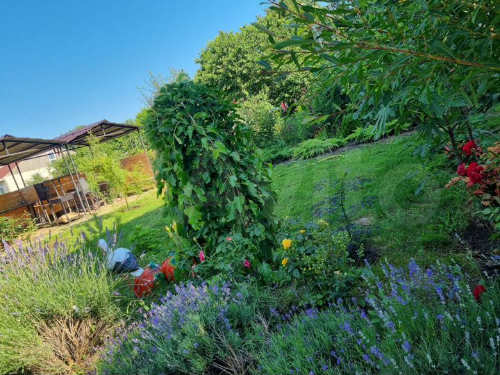 Дом 42 м² на участке 35 сот.