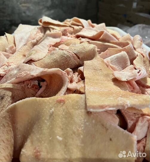 Свиная шкура