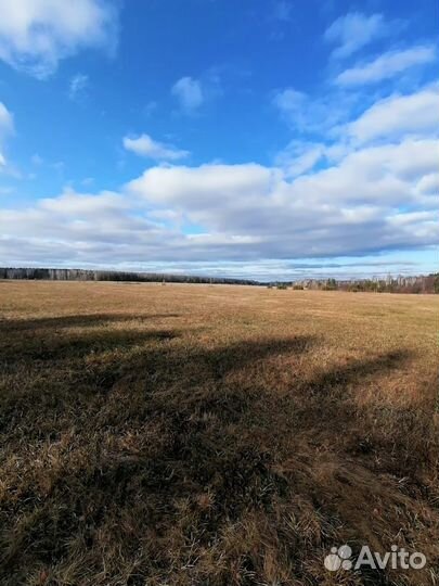 Оформление земельных участков