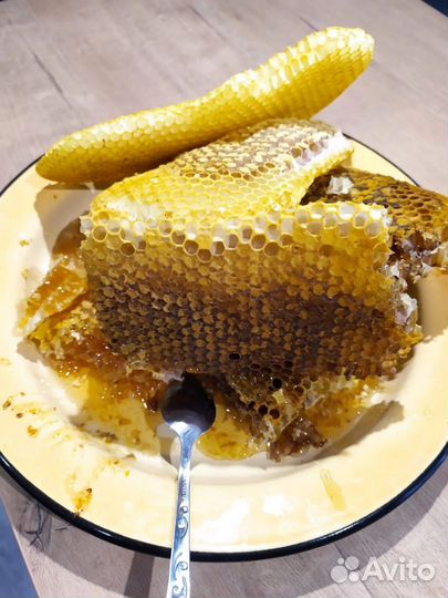 Дикий бортевой мед