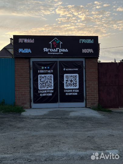 Черника Клубника Малина свежая из Киргизии