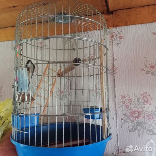 Клетка для крупного попугая и две для мелких птиц