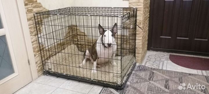 Клетка вольер для собак