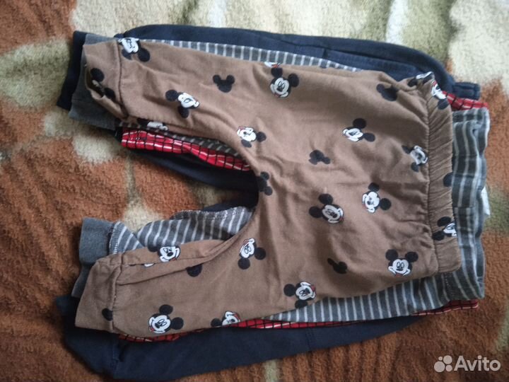 Отдам бесплатно