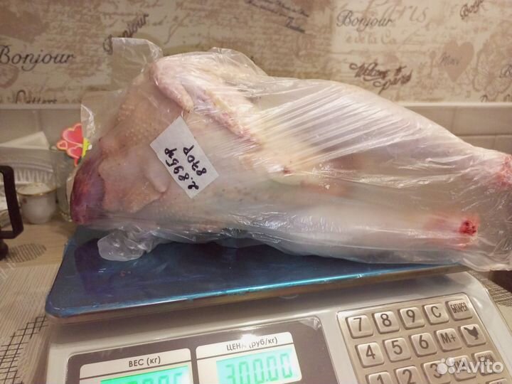 Мясо домашних курей, индоуток, перепелов и яйца