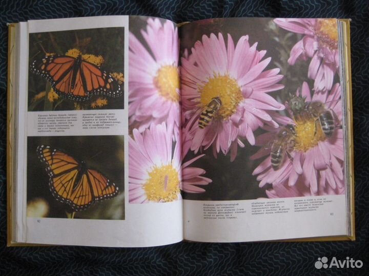 Книги о животных