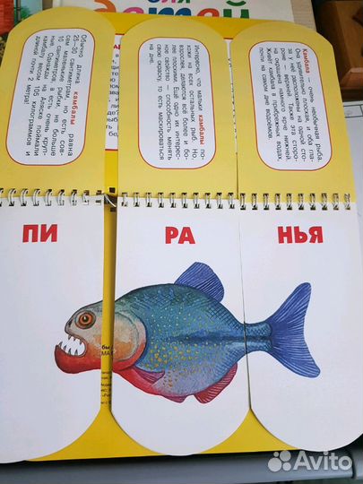 Развивающие книги для малышей