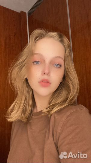 Передержка кошек