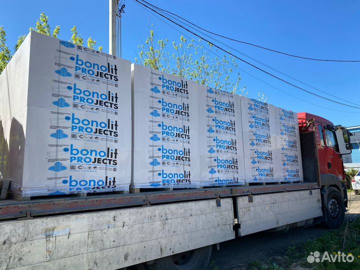 Газоблок 200