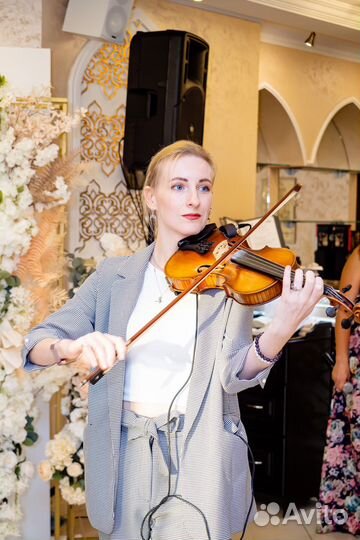 Скрипка на праздник