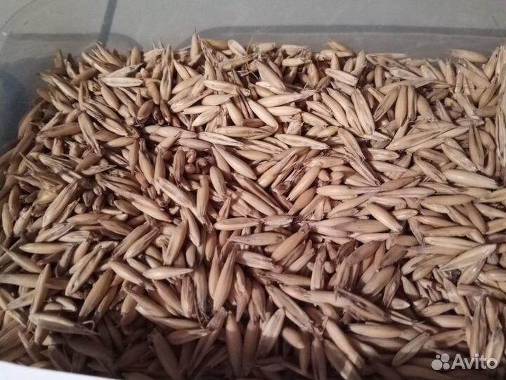 Зерно,комбикорм, премиксы