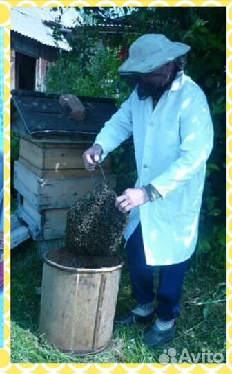 Воск пчелиный