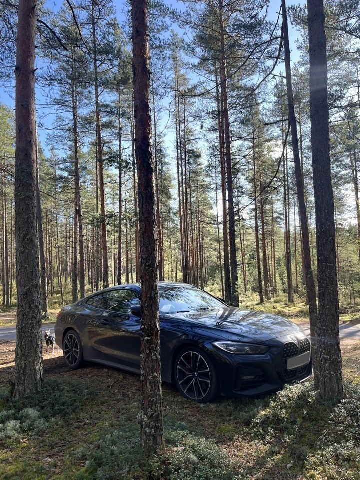 BMW 4 серия: фото из отзыва