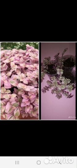 Осенний вальс