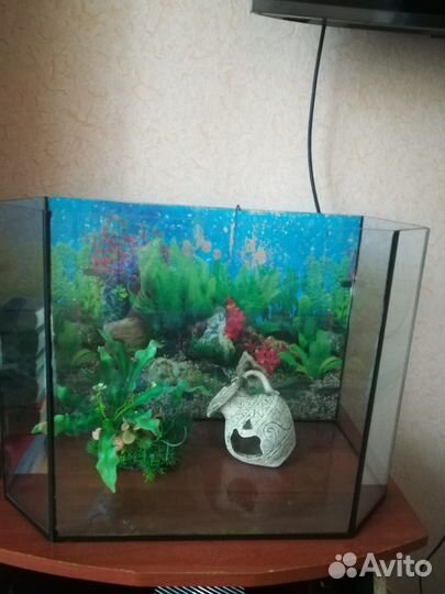 Аквариум