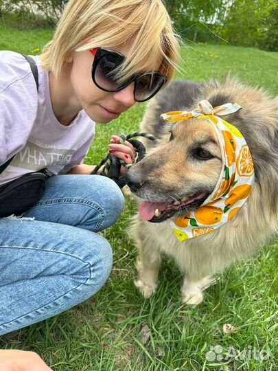 Забери меня