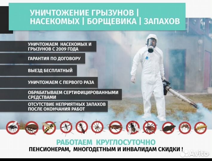 Дезинсекция. Клопы. Тараканы. Муравьи. Осы