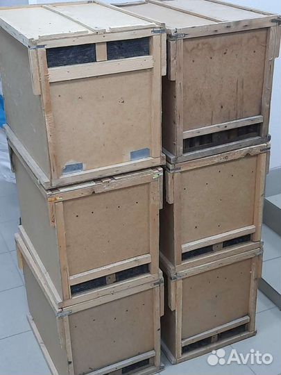 Пчелопакеты карника, карпатка, бакфаст