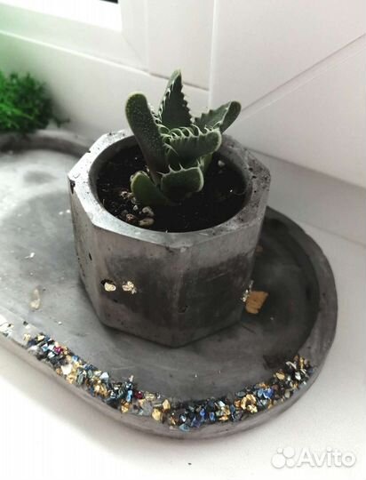 8 молдов, и все остальное для гипса