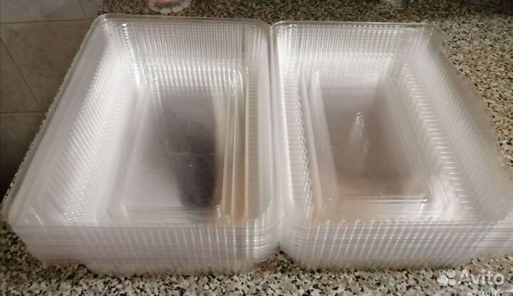 Контейнер для пищи