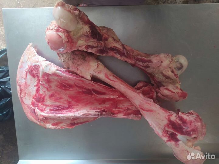 Кости для собак