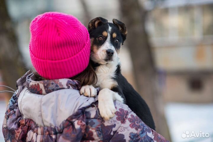 Крутая девчонка