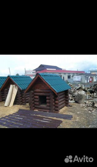 Собачья будка