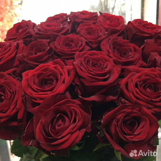 Букет из 51 розы