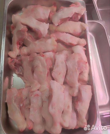 Мясо и кости для собак