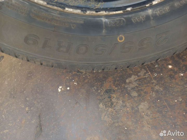 Royal Black Royal Performance 255/50 R19