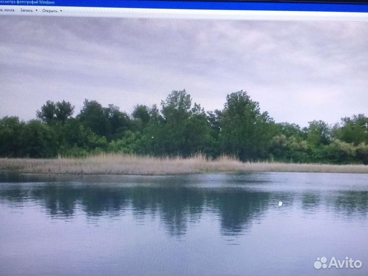 Монитор BenQ GL950ta 