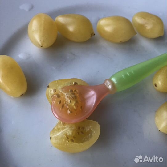 Рассада томатов « Сумасшедшие вишни Барри»