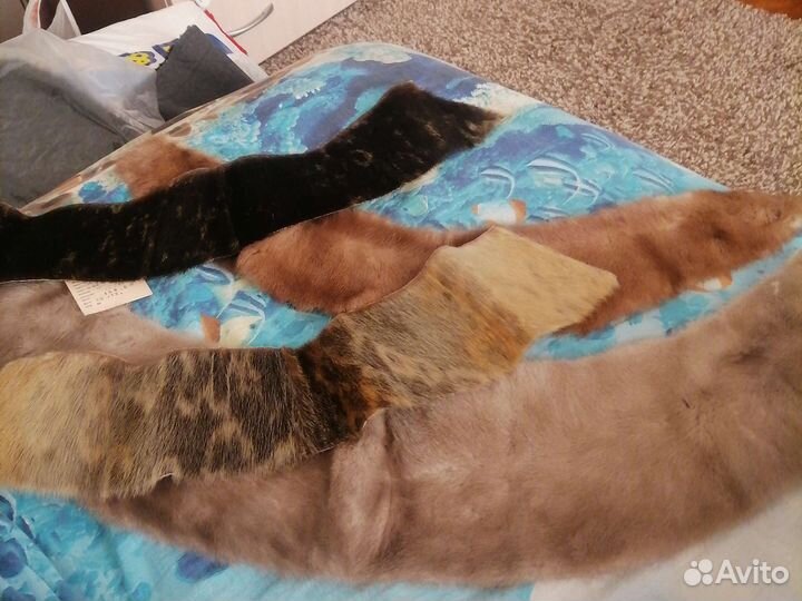 Шкурки нерпы и норковые воротники СССР