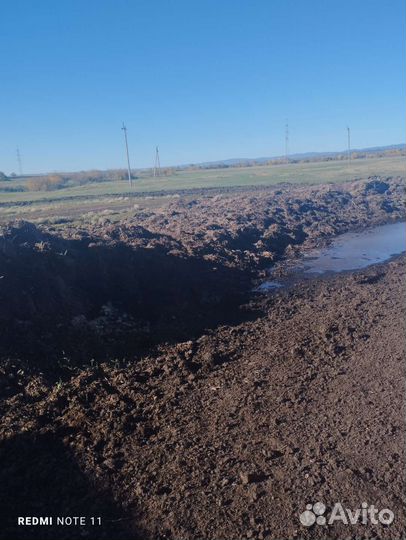 Назём бесплатно