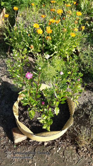 Дача 20 м² на участке 13 сот.