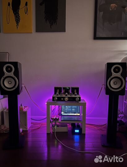 Ламповый усилитель Willsenton R8