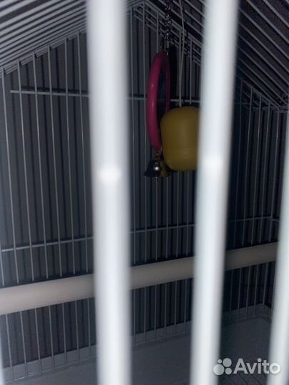 Клетка для попугая