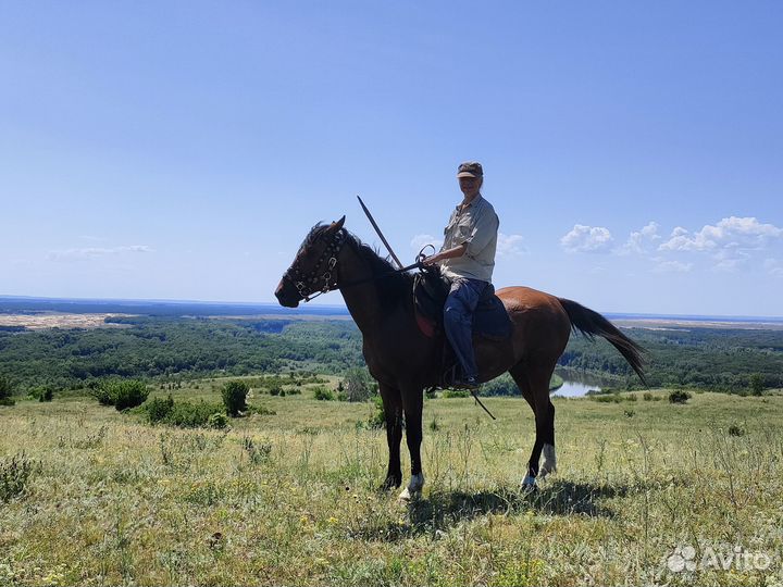 Конные туры выходного дня в Волгоградской области