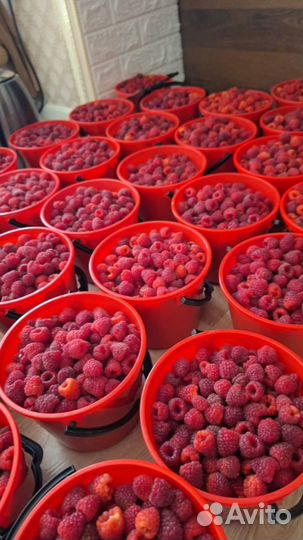 Малина ягода