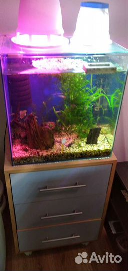 Аквариумы 50, 100 литров