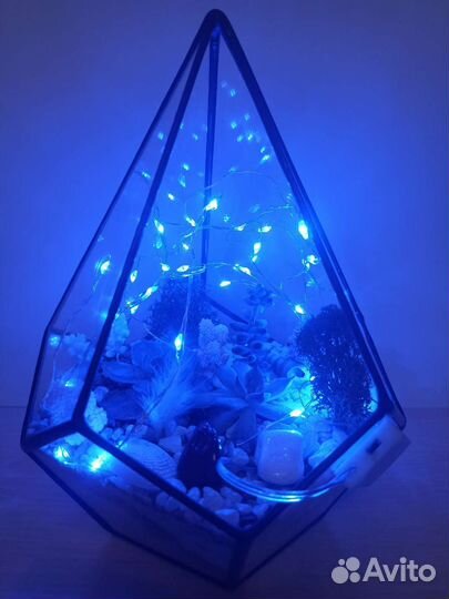 Флорариум с сукулентами