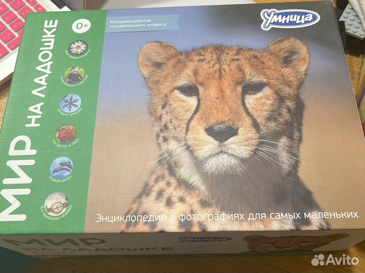 Пособие умница Мир на ладошке