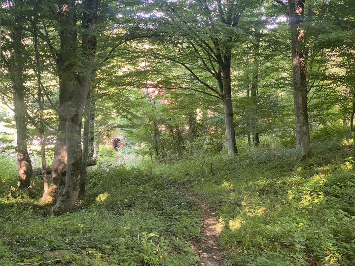 Участок 1,42 га (ИЖС)