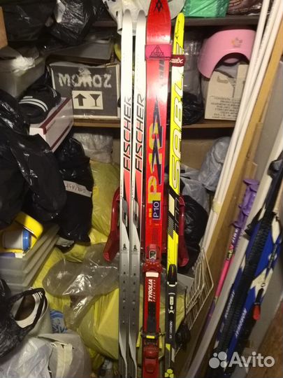 Лыжи беговые