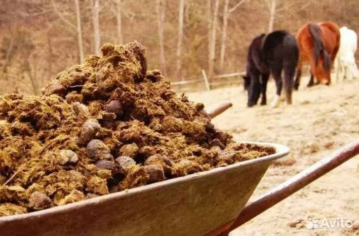 Навоз конский в мешках