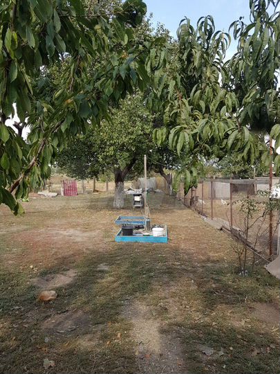 Дом 92 м² на участке 69 сот.