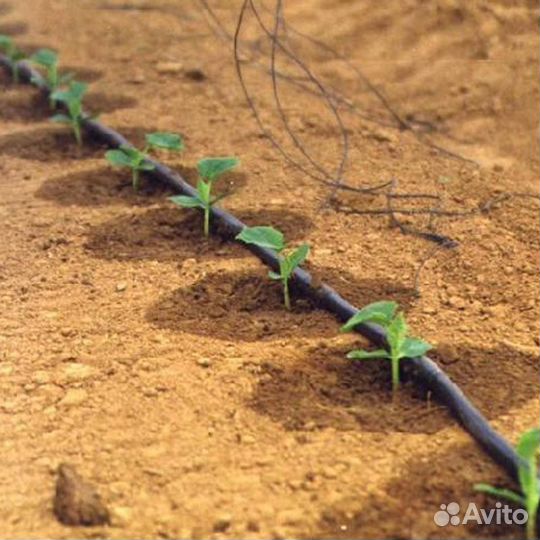 Капельное орошение (полив)